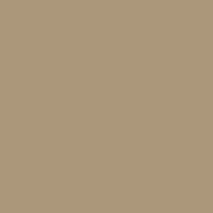 Solid light brown color square with subtle specs of varying shades, offering a rich palette that