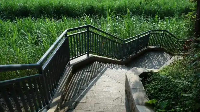 A concrete staircase with aluminum railings leads down through tall green grass and vegetation.