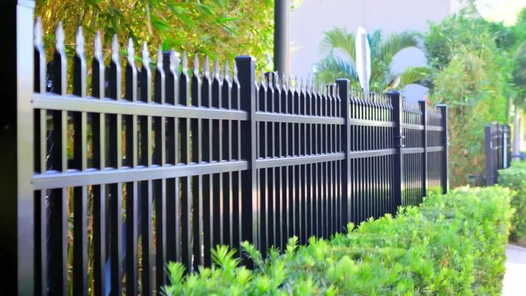 Black metal fence with pointed tops stands beside green bushes and trees on a sunny day, with a light-colored building and palm plants visible in the background—showcasing the elegance often found in custom metal railings Langley homeowners prefer.