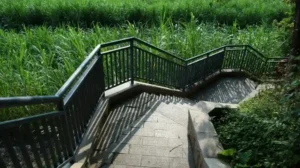 A concrete staircase with aluminum railings leads down through tall green grass and vegetation.