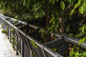 A metal railing lines a sidewalk partially covered by overhanging green tree branches and leaves, reminding passersby of the importance of regular upkeep—What Maintenance Tips for Aluminum Railings in Langley help preserve their look?.